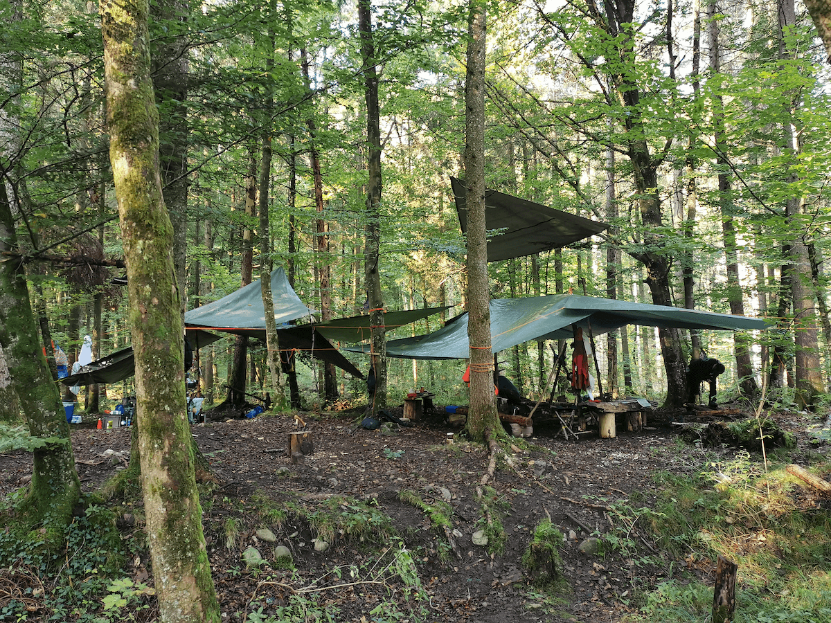 Camp en forêt
